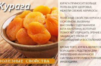 kuraga chto soderzhit