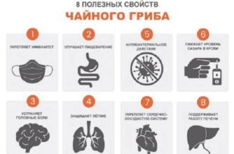 svojstva chajnogo griba dlya pohudeniya