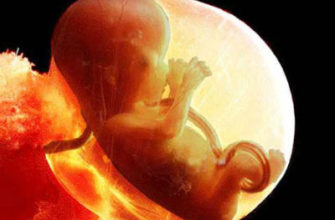 tyanet poyasnicu na 13 nedele beremennosti