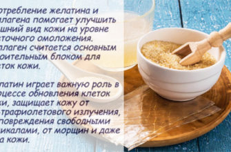 zhelatin eto chto