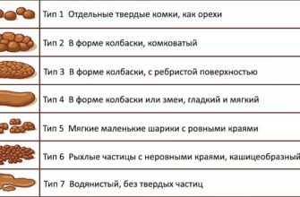 zapor chto eto takoe